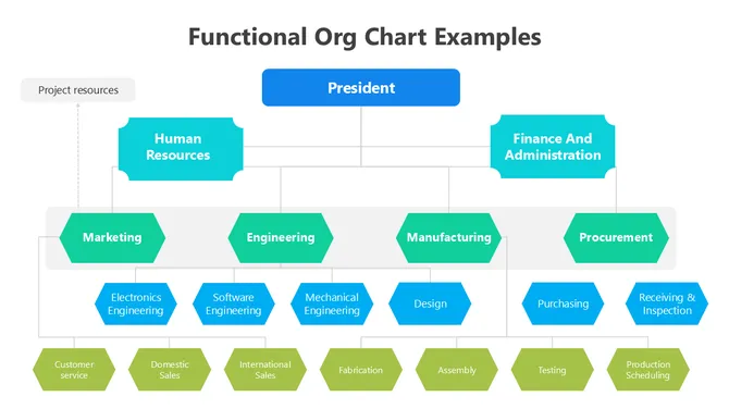 502024-functional-structure-organizational-chart-04-670