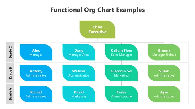 502024-functional-structure-organizational-chart-05-670