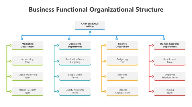 502025-business-functional-organizational-structure-02-670