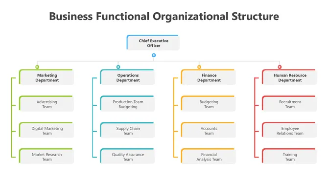 502025-business-functional-organizational-structure-05-670