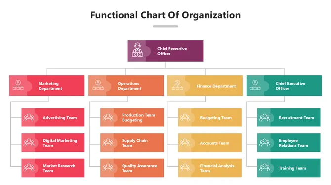 502027-functional-chart-of-organization-01-670