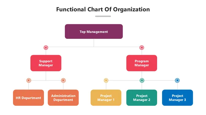 502027-functional-chart-of-organization-02-670