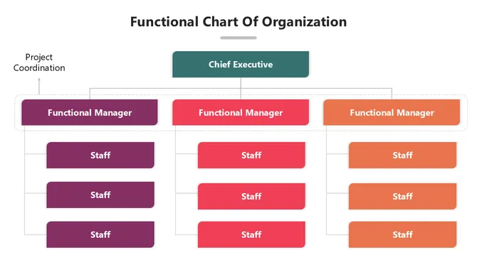 502027-functional-chart-of-organization-03-670