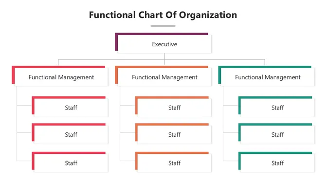 502027-functional-chart-of-organization-04-670