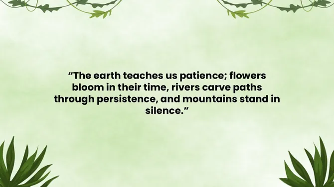 502045-nature-and-background-04-670