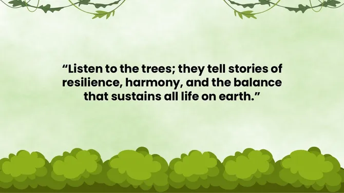 502045-nature-and-background-06-670