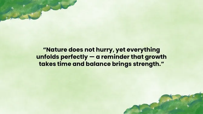 502045-nature-and-background-07-670