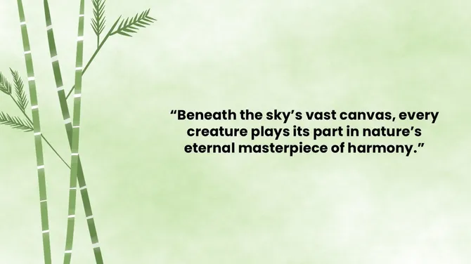 502045-nature-and-background-08-670