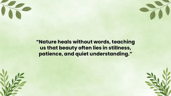 502045-nature-and-background-09-670