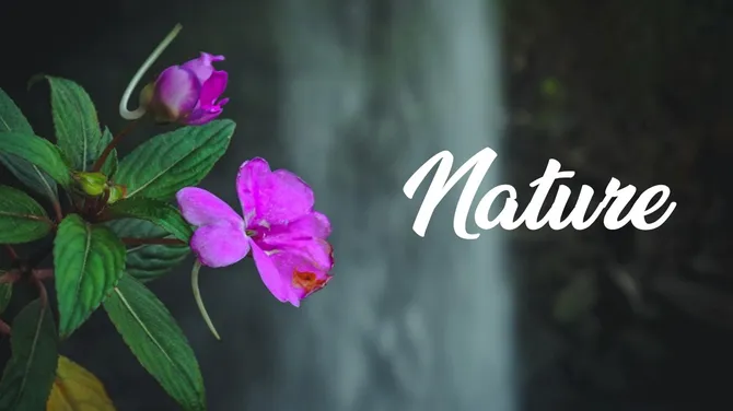 502049-pretty-nature-backgrounds-01-670