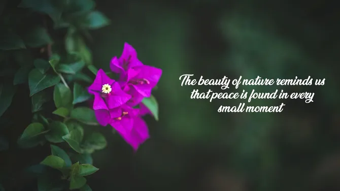 502049-pretty-nature-backgrounds-04-670