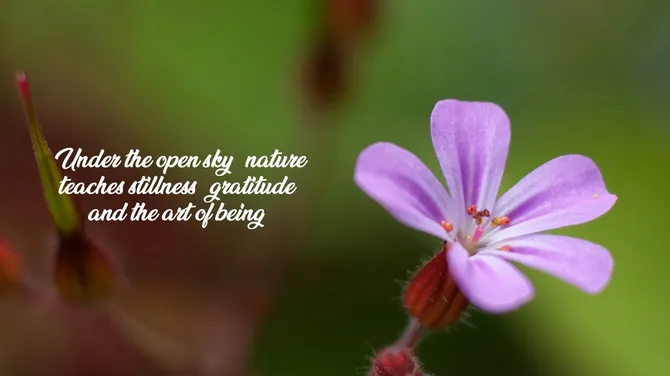 502049-pretty-nature-backgrounds-05-670