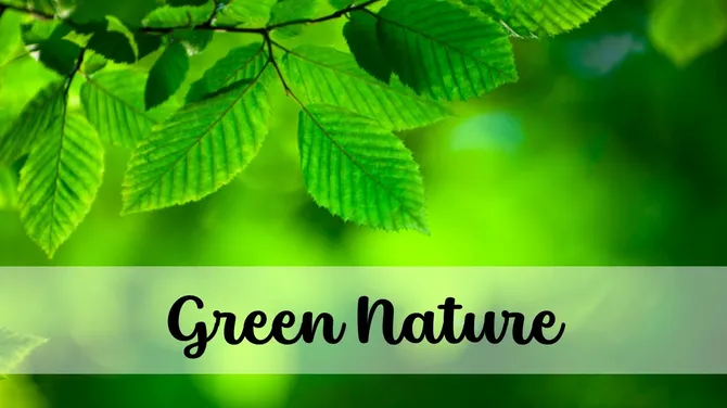 Green nature background with fresh leaves, bright sunlight, and soft blur creating a vibrant natural scene.