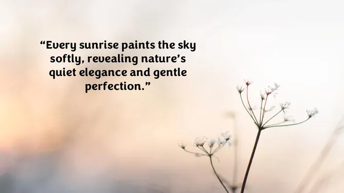 502052-natural-aesthetic-background-03-670