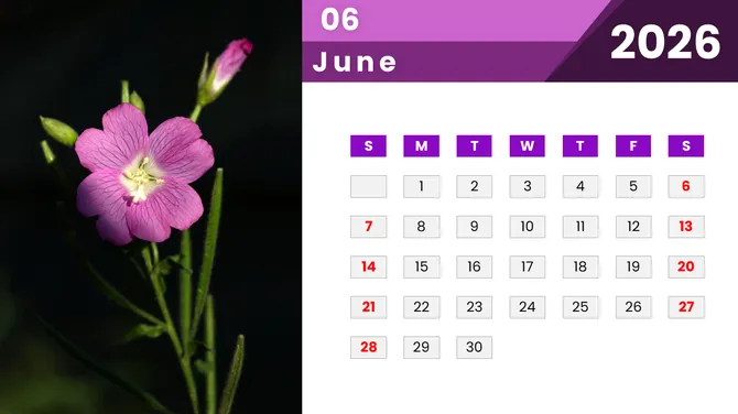 2026 Calendar PowerPoint slide 8