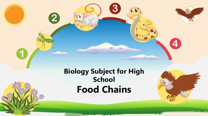 Biology Subject for High School Food Chains slide1