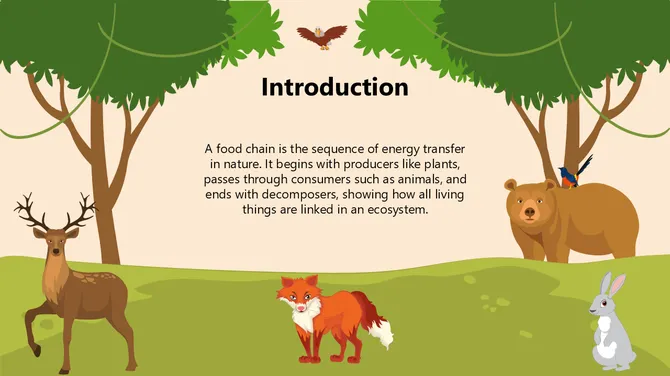 Biology Subject for High School Food Chains slide2