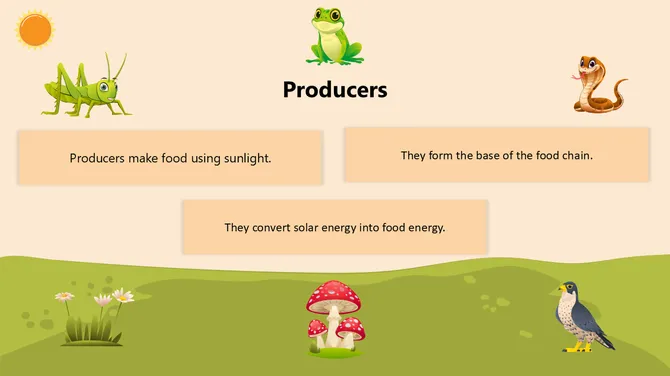 Biology Subject for High School Food Chains slide4