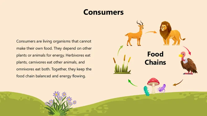 Biology Subject for High School Food Chains slide5