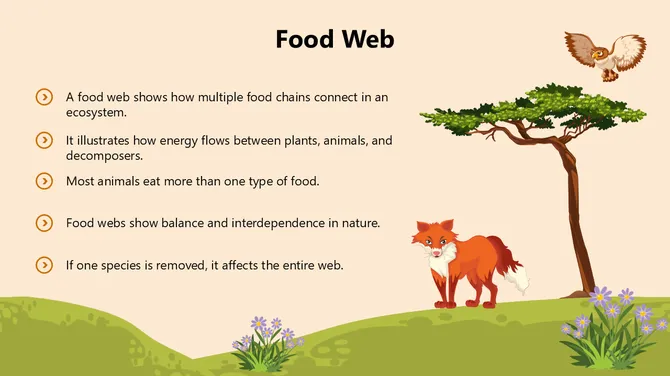 Biology Subject for High School Food Chains slide9