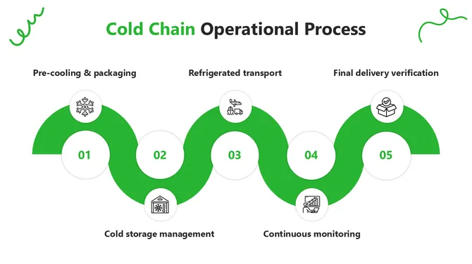Cold Chain Logistics Management Presentation slide5