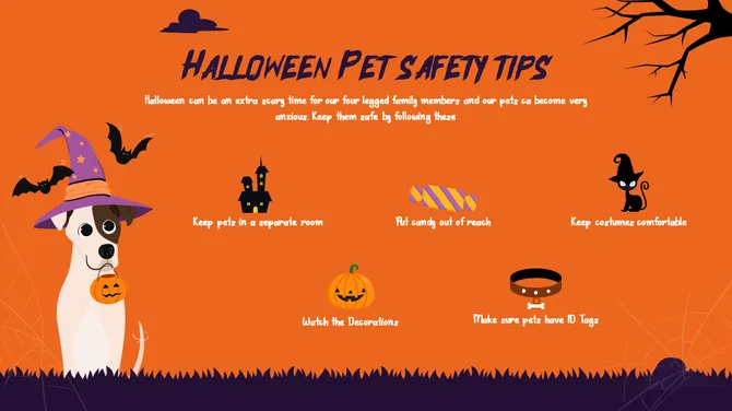 Happy Halloween Presentation slide 20