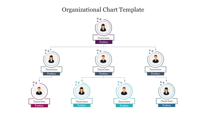 Organizational Chart slide 5