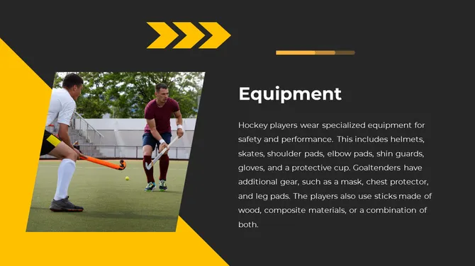 82935-hockey-presentation-ppt-08-670