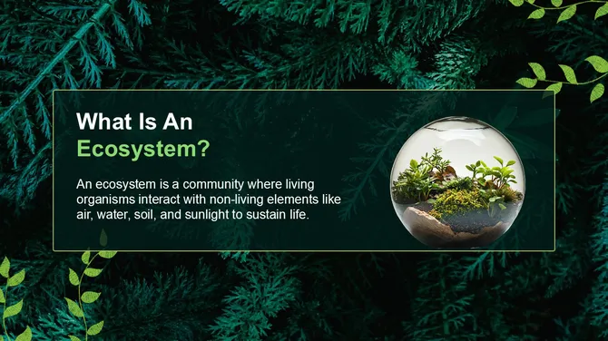 87319-natural-environment-powerpoint-presentation-07