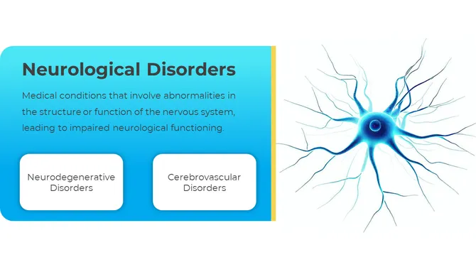 88498-free-neurology-powerpoint-templates-04-670
