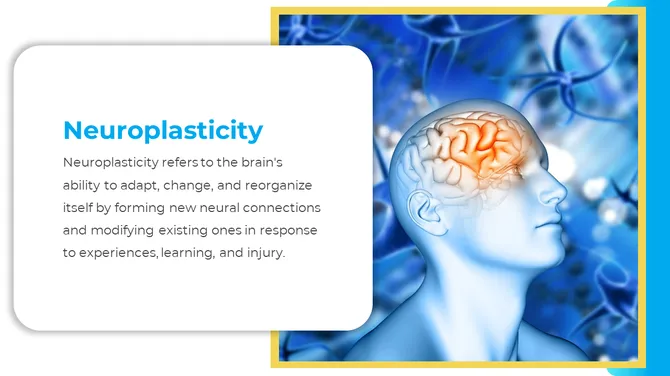 88498-free-neurology-powerpoint-templates-05-670