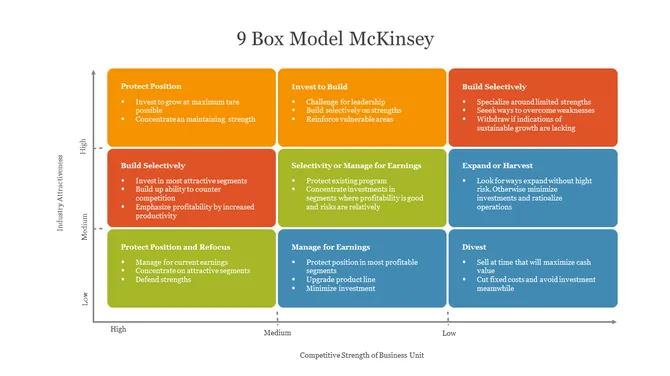 9 Box Model McKinsey PowerPoint slide2