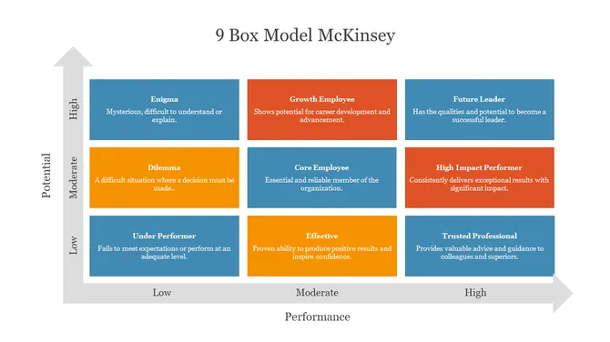 9 Box Model McKinsey PowerPoint slide3