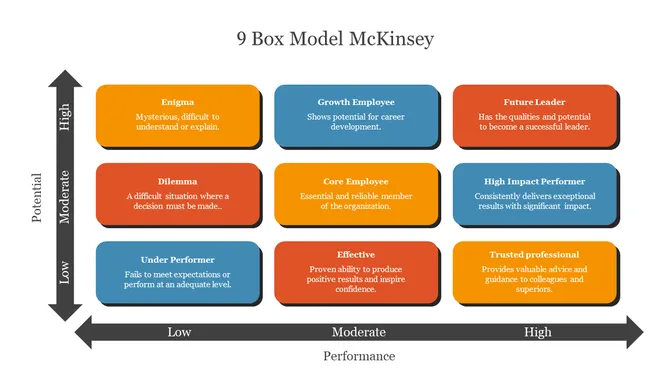 9 Box Model McKinsey PowerPoint slide4